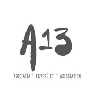A13