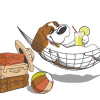 Pet Joy - Hotel Canin Cluj