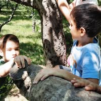 Grădiniţa Little Diamonds