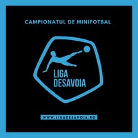 LIGA Desavoia ARAD