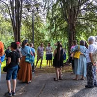 Timisoara All Around