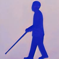 Asociatia Nevazatorilor din Romania