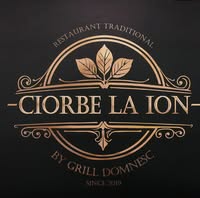 Ciorbe La Ion