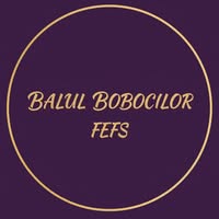 Balul Bobocilor FEFS