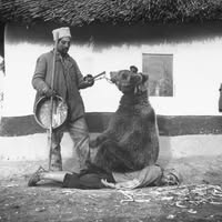 Chiropraxie Osteopatie Terapii alternative Braşov