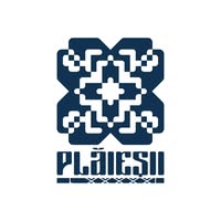 Ansamblul Etnofolcloric Plăieșii