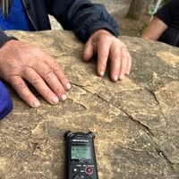 Institutul de Istorie Orală Cluj-Napoca