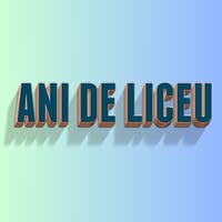 Ani de Liceu