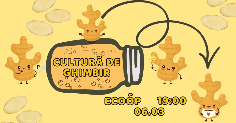 Cultura de ghimbir – workshop delinarium