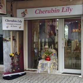 Str Constantin Aricescu 30, sector 1