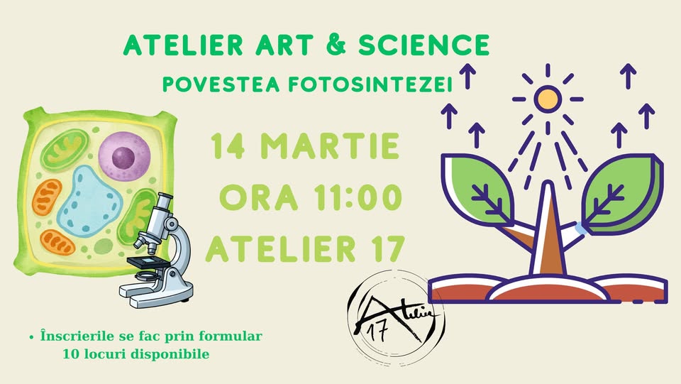 Atelier Art&Science – Povestea Fotosintezei