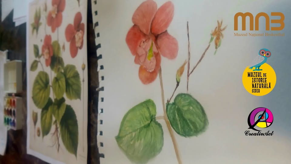Atelier de Ilustrație Botanică