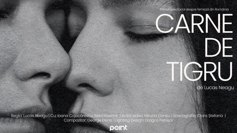 Carne de tigru | Spectacol de teatru