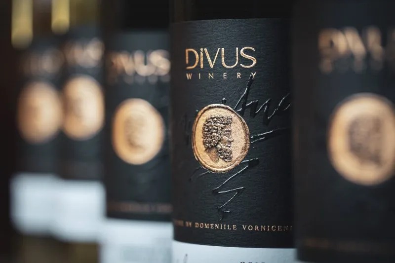 Degustare vinuri – Crama Divus / Republica Moldova