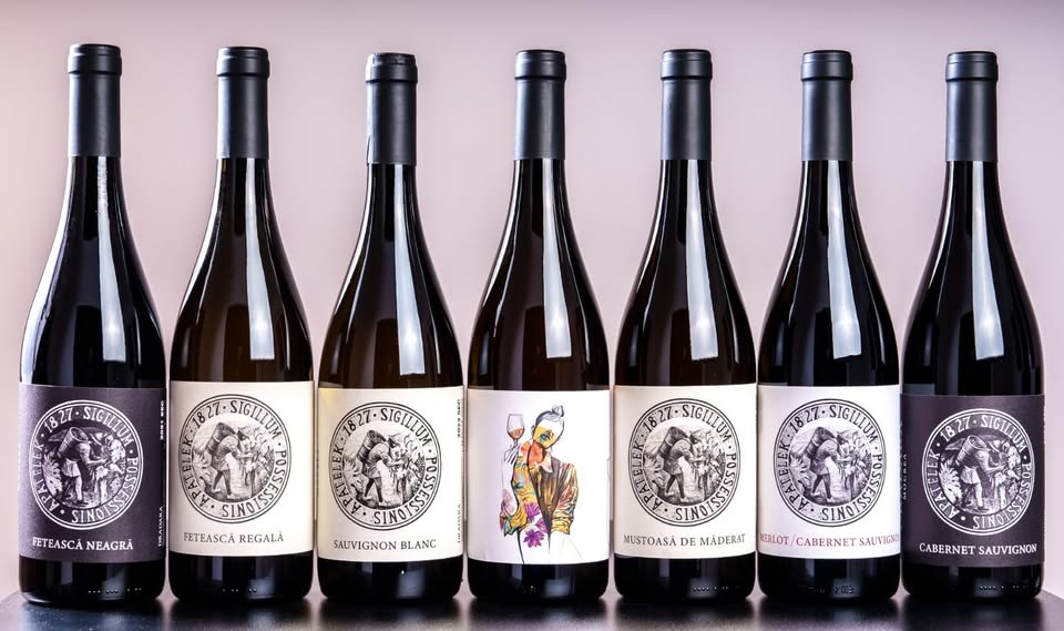 Degustare vinuri – Crama Dradara