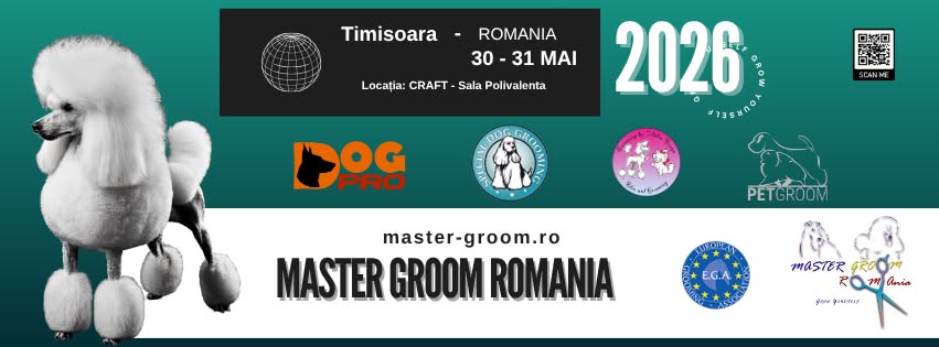 Master Groom Romania 2026 | Timisoara