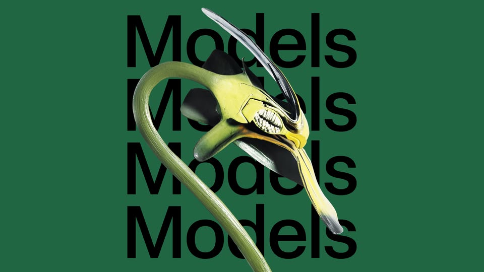 Lansarea catalogului „Matei Bejenaru, Models” 11.03