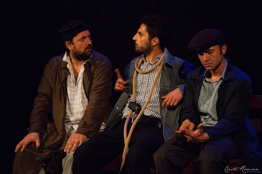 Insomniacii de Mimi Brănescu