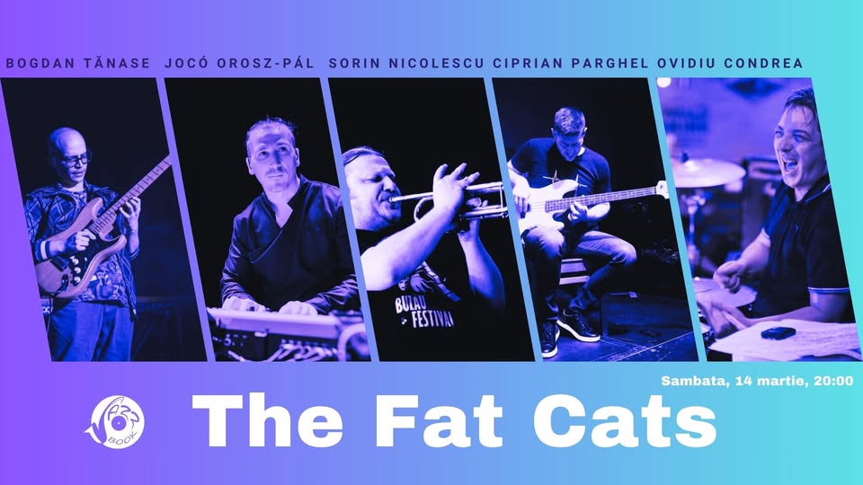 The Fat Cats