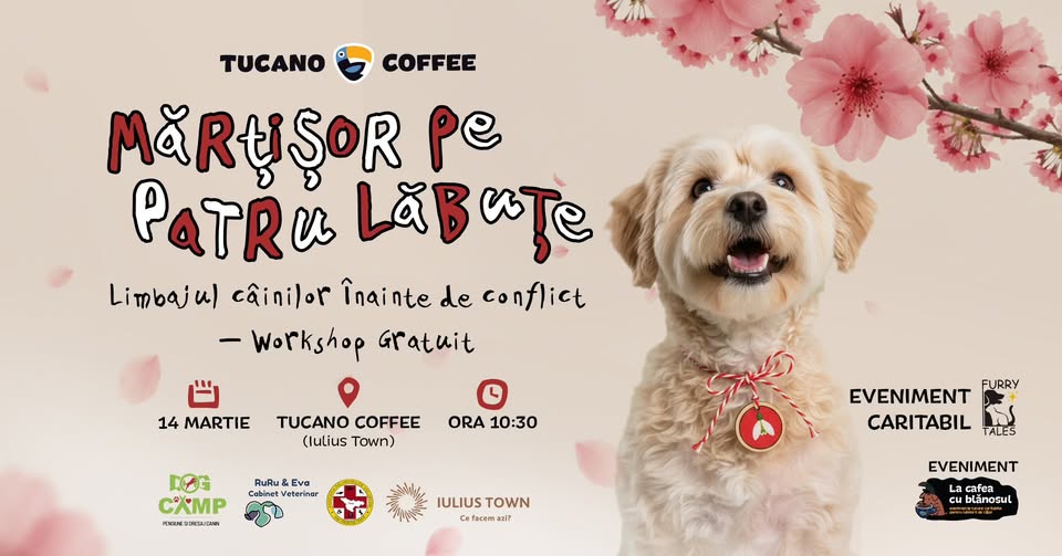 Mărțișor pe 4 lăbuțe. Limbajul câinilor înainte de conflict – Workshop Gratuit