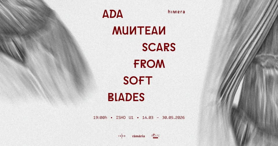 Scars from Soft Blades | Ada Muntean | Opening