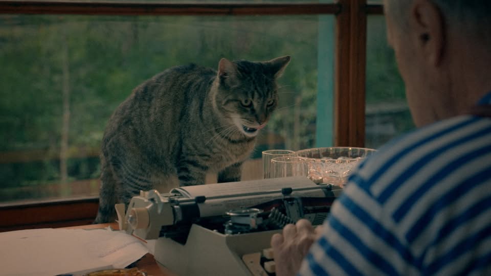 Tender Hrabal | Documentary Mondays