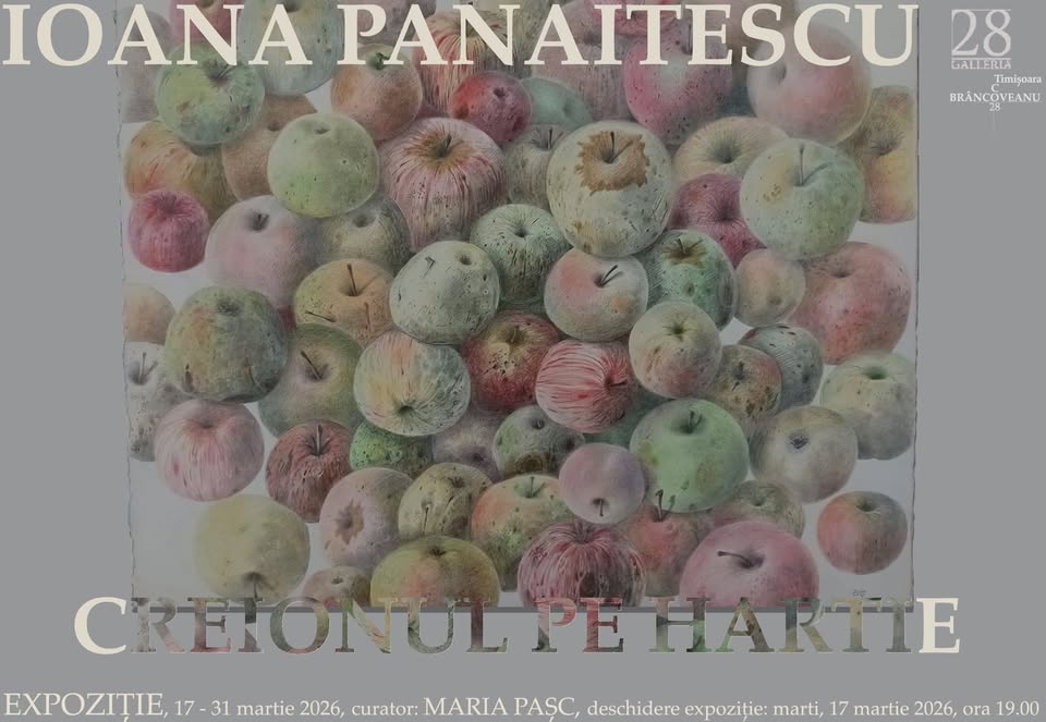 Creion pe hârtie – Ioana Panaitescu