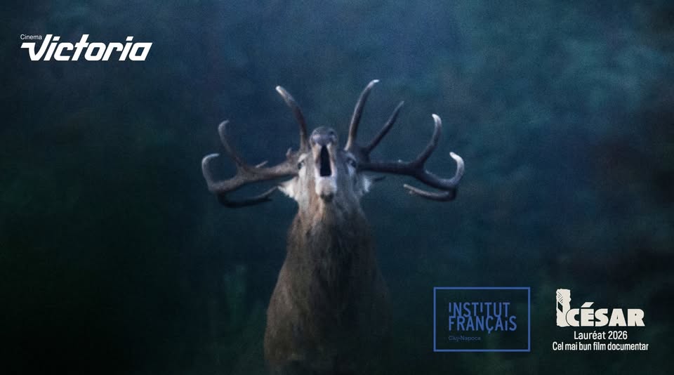 Avanpremieră Cântecul pădurii / Le chant des forêts | Deschidere Festivalul Filmului Francez