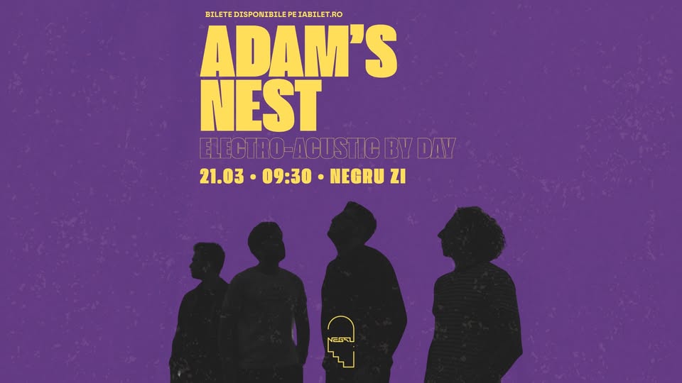Adam’s Nest electro-acustic by day