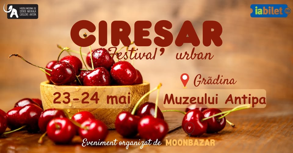 CIREȘAR-Festival Urban