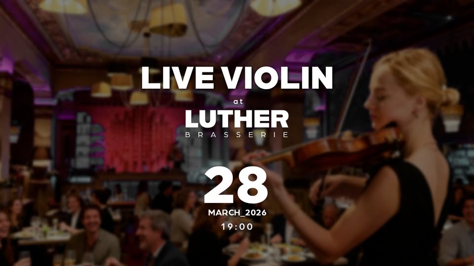 Live Violin 🎻┃ Brasserie