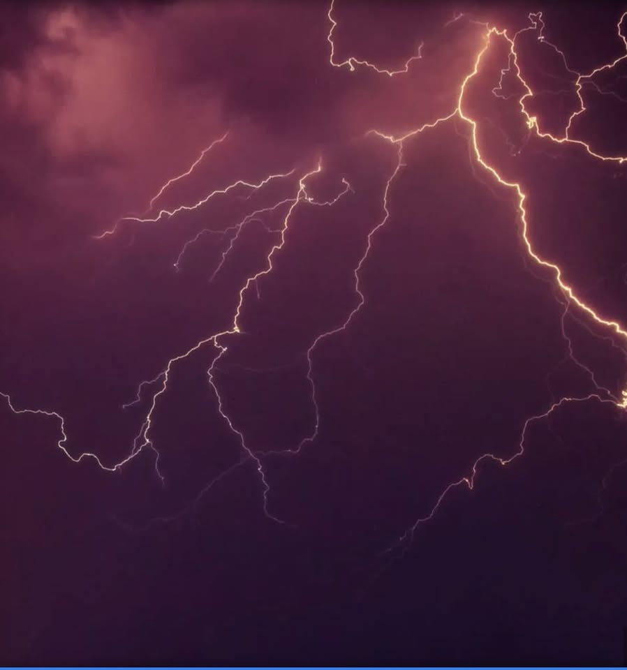 Mad Science: Biology, Technology, Systems of Power International Interdisciplinary Conference