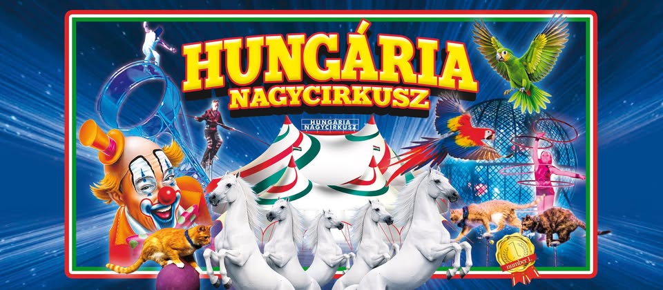 Cluj Napoca Premier