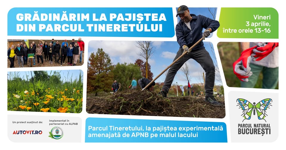 Grădinărim la pajiștea din Parcul Tineretului