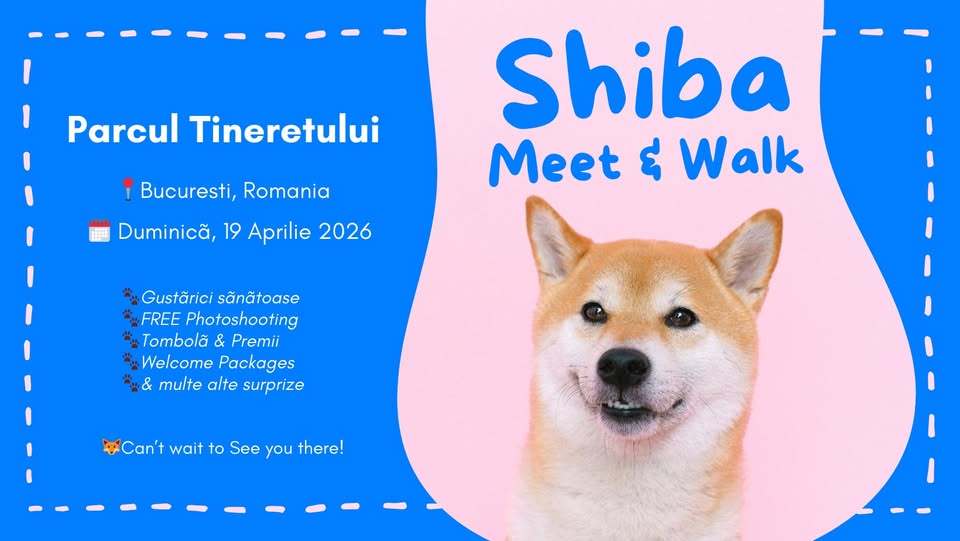 Primul Shiba Inu MEET & WALK din BUCURESTI