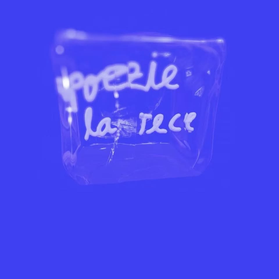 POEZIE LA RECE de/cu Răzvan Omotă