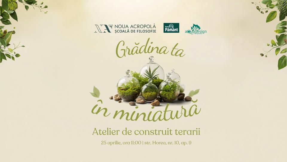 Atelier de construit terarii: Grădina ta în miniatură