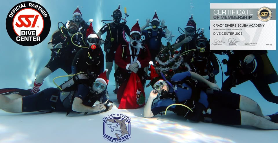 Curs Open Water Diver