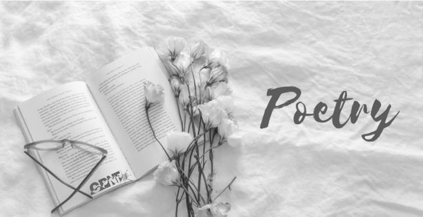 Seara de poezie- Part VI