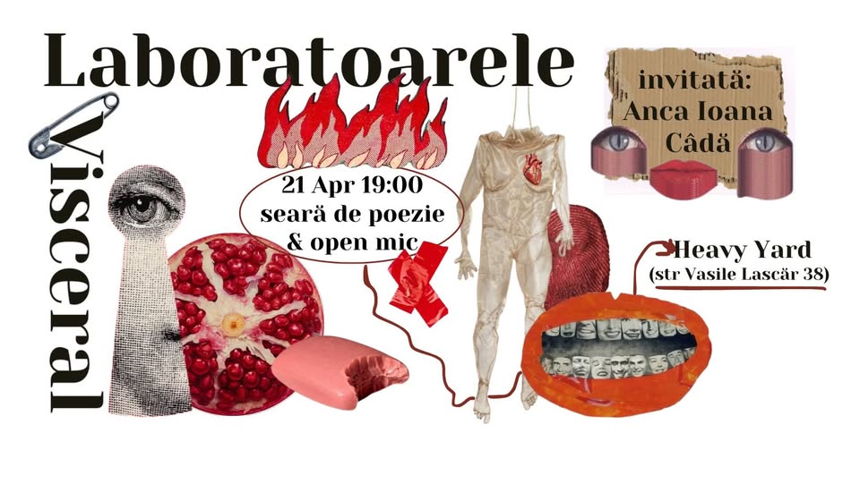 Laboratoarele Visceral #17