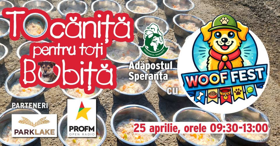Tocăniță pentru toți Bobiță