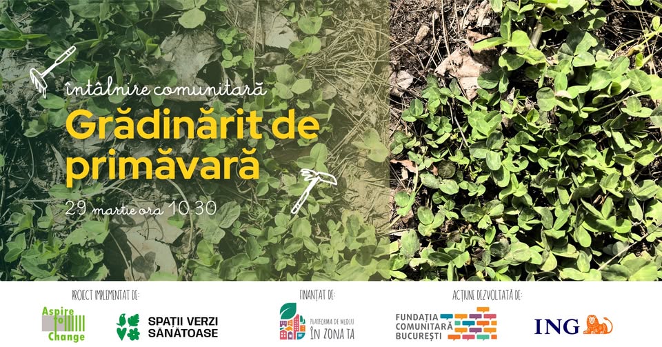 Grădinărit de primăvară în Bucureștii Noi
