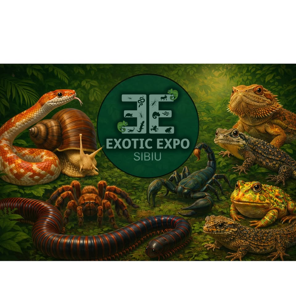 🌴🕷️ EXOTIC EXPO SIBIU – mai spectaculos ca niciodată! 🐍🦎 📅 LUNI, 13 APRILIE 2026 📍 Str. Malulu