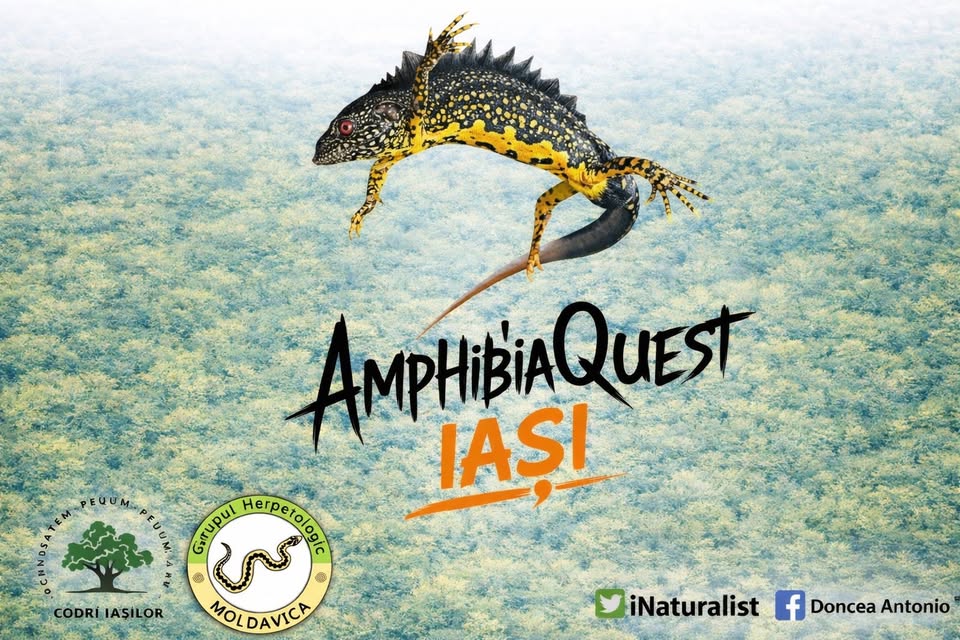 Amphibia Quest Iaşi 2026