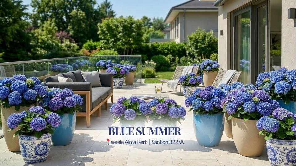 Blue Summer