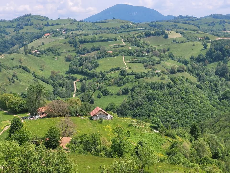 Drumetie  Poaiana Marului