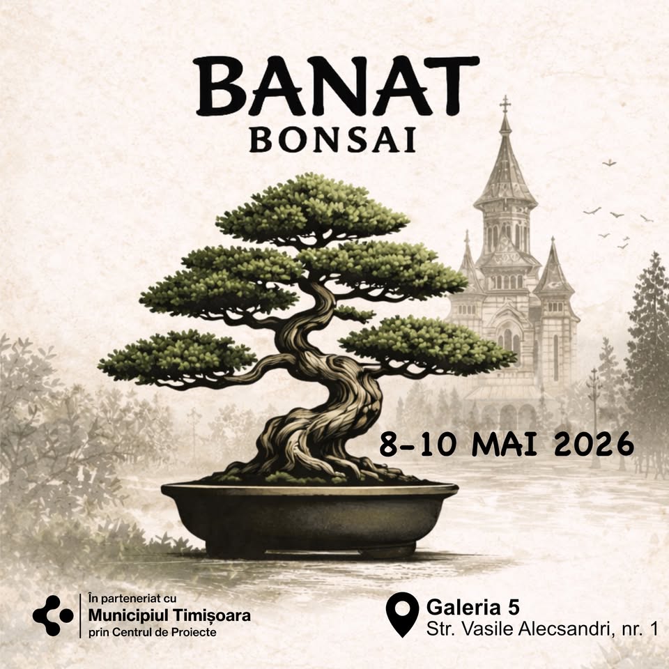 Expozitie bonsai - OnEvent