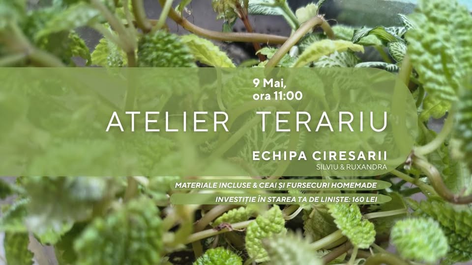 Atelier Terariu