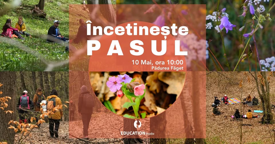 Încetinește Pasul (Forest Therapy) | Pădurea Făget