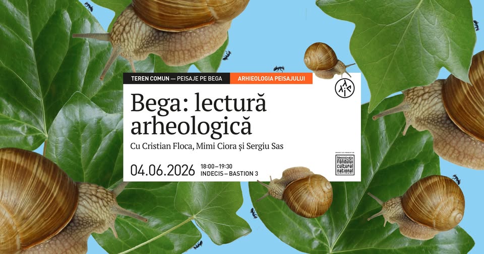 Bega: lectură arheologică